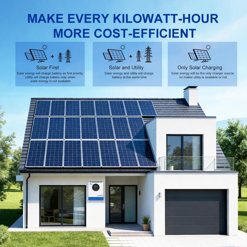 Инвертор Aruna Solar FGI-S6500/48