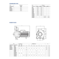 Поверхневий насос відцентрований Pedrollo HF 20B (47HF826BA)