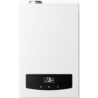 Rens RCB-024 WI-FI (частотный насос) конденсационный двухконтурный 24 кВт с трубой
