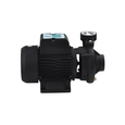 Поверхностный насос центробежный Pumpman 2DK20