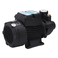 Pumpman QBB60 Pumpman QBB60