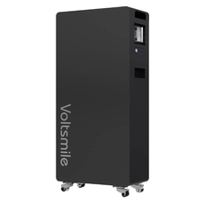 Voltsmile S16 Pro LiFePO4 51.2В 16076.8Вт*год 