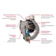 Котел газовый конденсационный Italtherm TIME POWER 90 K