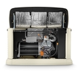 Газовий генератор Generac G0071460 GUARDIAN (13 кВт)