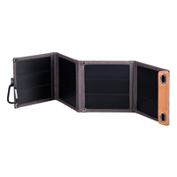 2E PSP0010 14W (2E-PSP0010) 2E PSP0010 14W (2E-PSP0010)