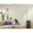 Очиститель Daikin MCK70ZH