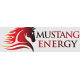 Купить товары производителя - Mustang Energy
