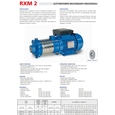 Поверхностный насос центробежный Speroni RXM 2-6