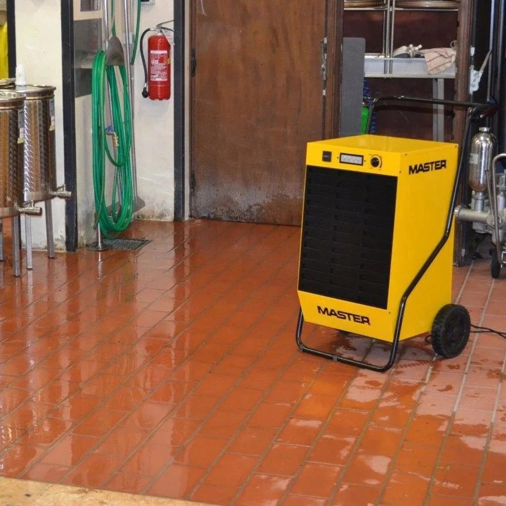 Осушитель воздуха Master DH 62