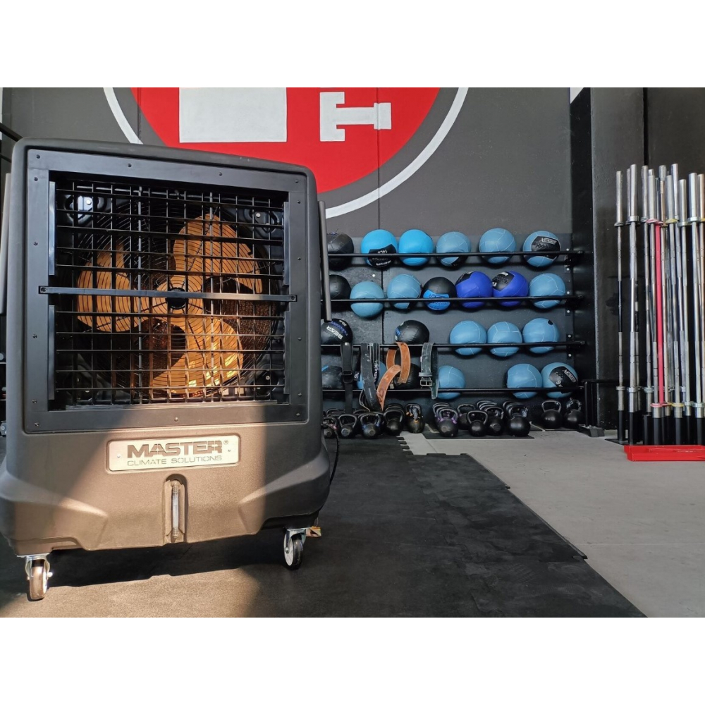 Кондиционер мобильный Master BC 121