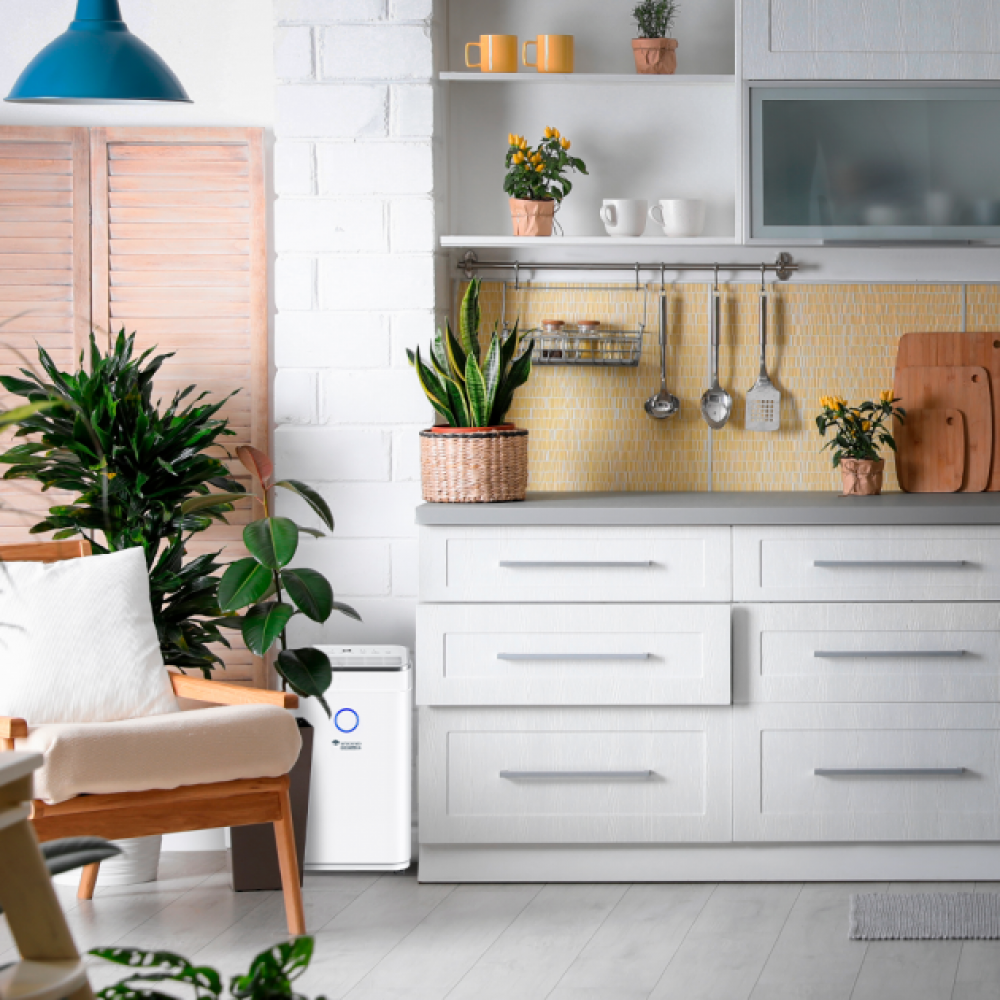 Осушитель воздуха MyCond Roomer Smart 25