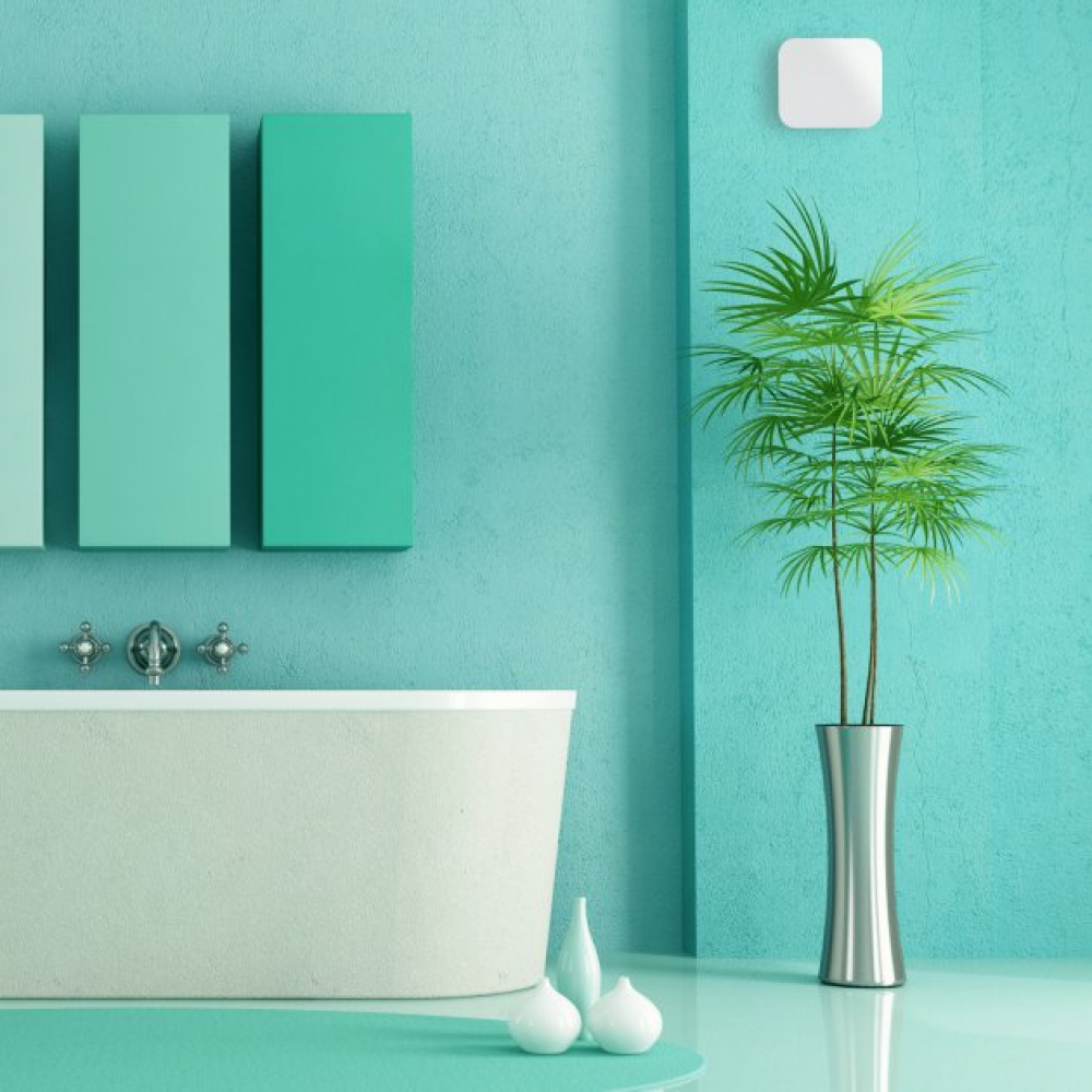 Вытяжной вентилятор настенный Turbionaire Trend 100 SWG