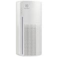 Очиститель Electrolux EAP-1016