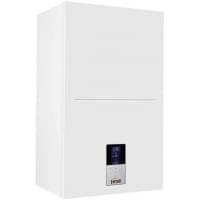 Ferroli Bluehelix Hitech RRT 24C (EU)