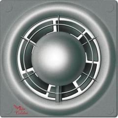 Colibri Flight 100 T Titan