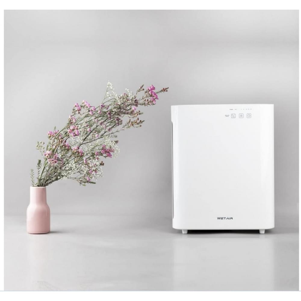 Очиститель WetAir WAP-40