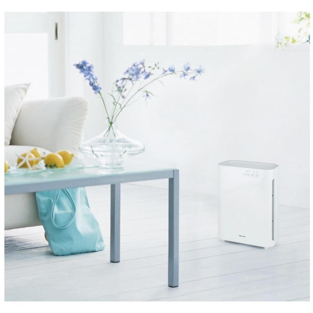 Очиститель WetAir WAP-40