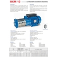 Поверхностный насос центробежный Speroni RX 10-4 IE3 (трёхфазный)