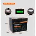 Акумулятор літій-залізо-фосфатний (LiFePo4) JsdSolar LiFePO4 12100LED 12,8V 100Ah, 1,28kWh, з індикатором заряду