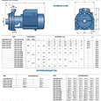 Поверхностный насос центробежный Pedrollo 2CP 40/180 A (452CT403AE)