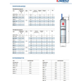 Двигатель Pedrollo 4PD 4 (380V) (4ZPC40A)