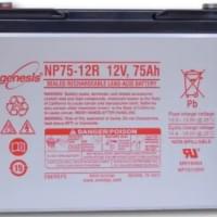 EnerSys NP 75-12 AGM (12V 75Ah) Genesis EnerSys NP 75-12 AGM (12V 75Ah) Genesis