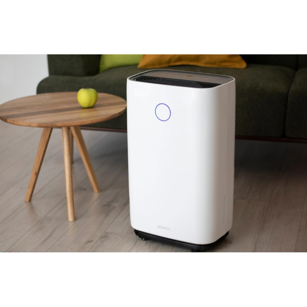 Осушитель воздуха Turbionaire Senso 20