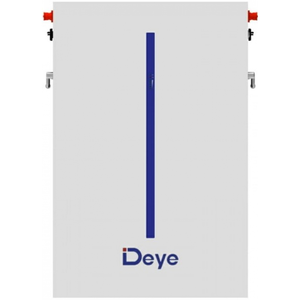 Акумулятор Deye RW-M6.1 LiFePO4 (48V 120Ah)
