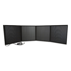  Kraft KFP-200SP 200W (DC5521) 
