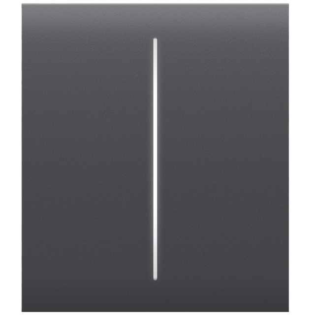 Панель вимикача світла Ajax CenterButton 2-gang for LightSwitch Jeweler Graphite (000029824)
