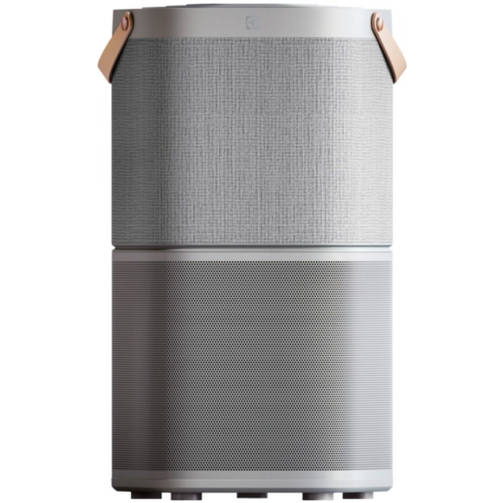 Очиститель Electrolux PA91-404GY