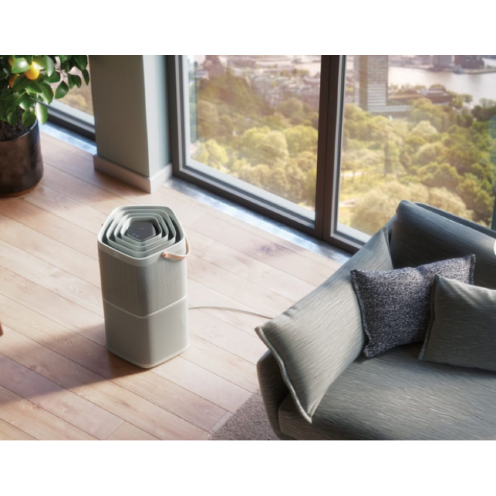 Очиститель Electrolux PA91-404GY