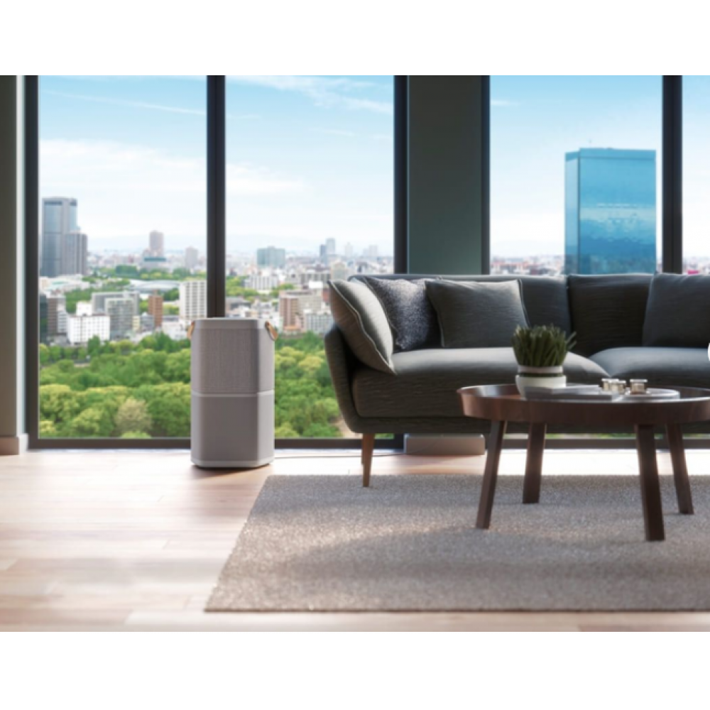 Очиститель Electrolux PA91-404GY