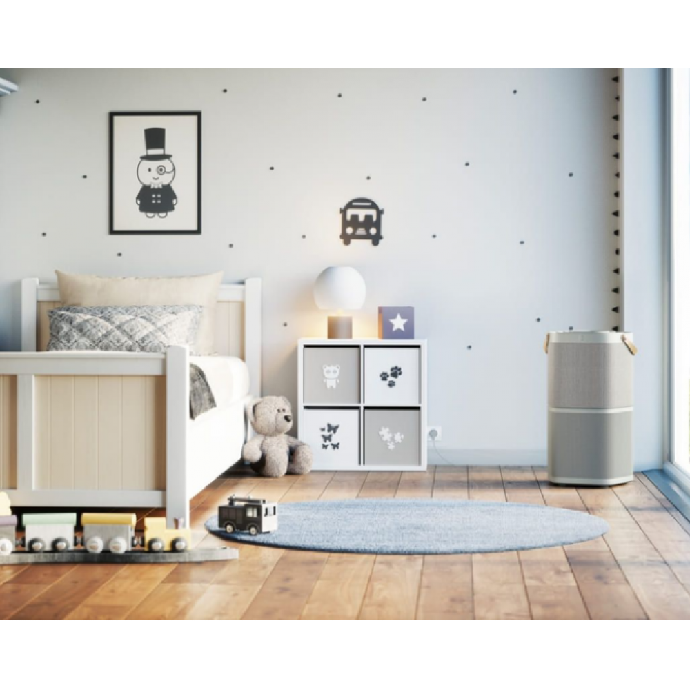 Очиститель Electrolux PA91-404GY