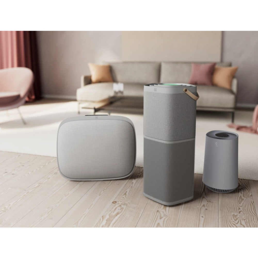 Очиститель Electrolux PA91-404GY