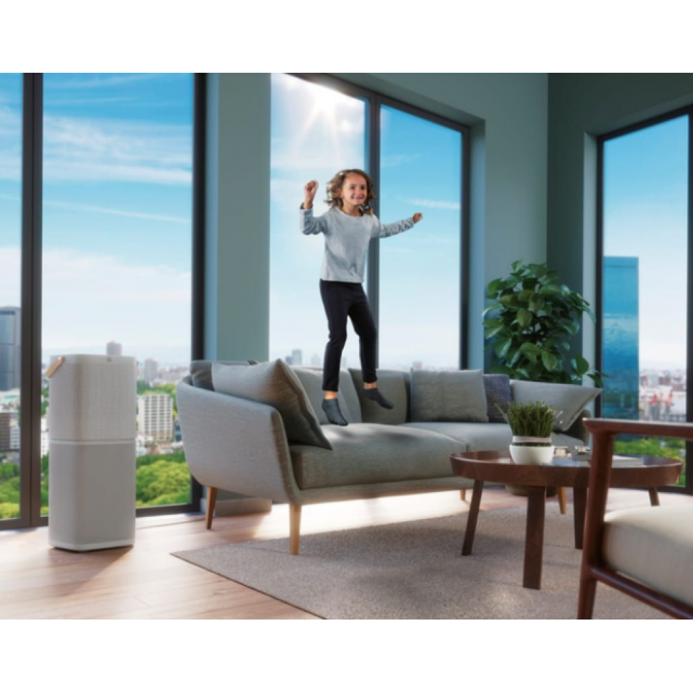 Очиститель Electrolux PA91-404GY