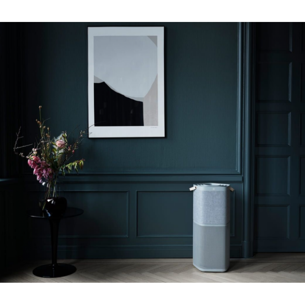 Очиститель Electrolux PA91-404GY