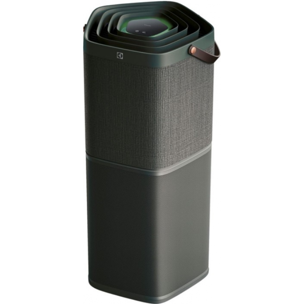 Очиститель Electrolux PA91-604DG