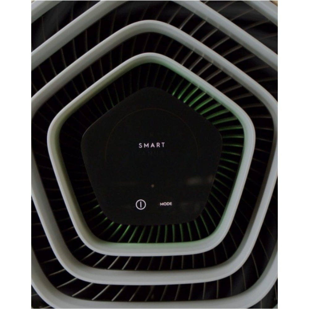 Очиститель Electrolux PA91-604DG