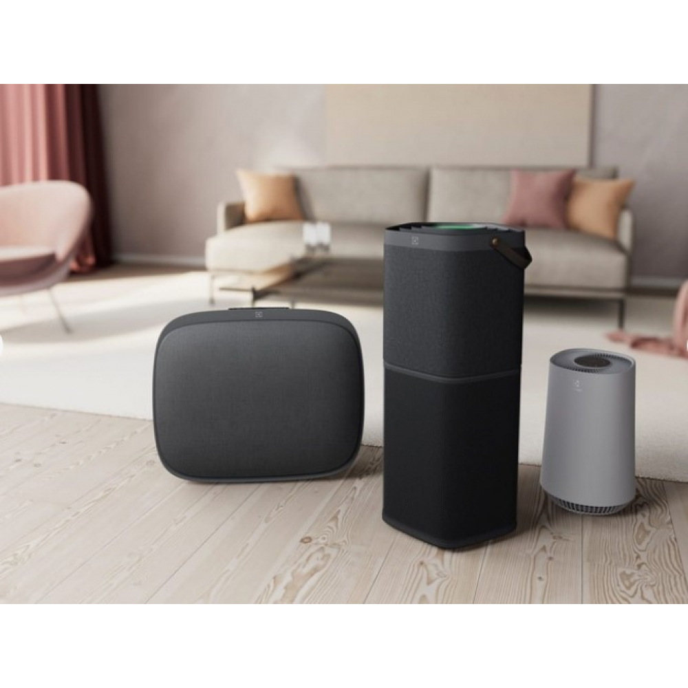 Очиститель Electrolux PA91-604DG