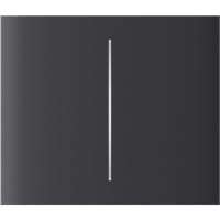 Ajax CenterButton (2-gang) vertical Graphite (000046475) Ajax CenterButton (2-gang) vertical Graphite (000046475)