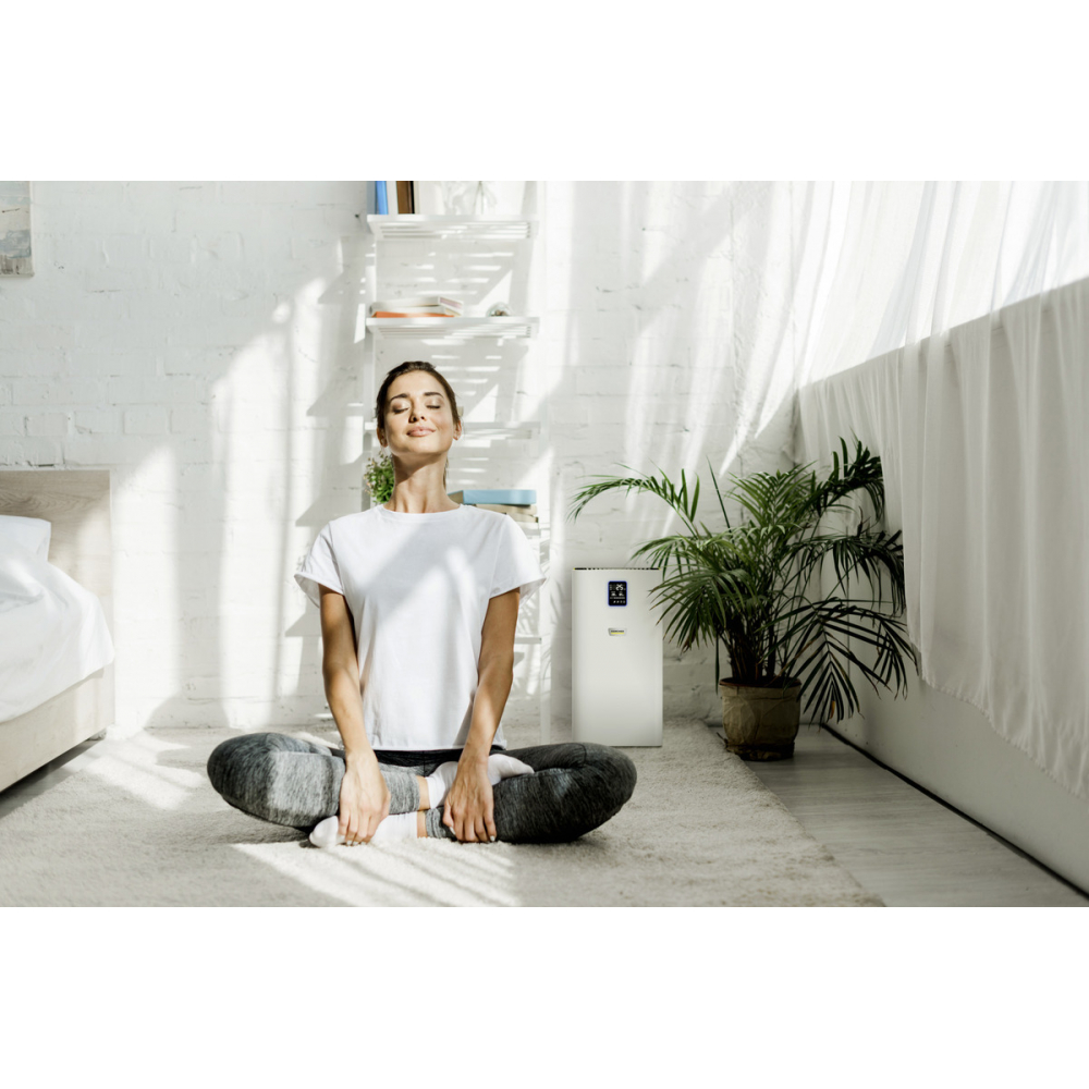 Очиститель Karcher AF 30