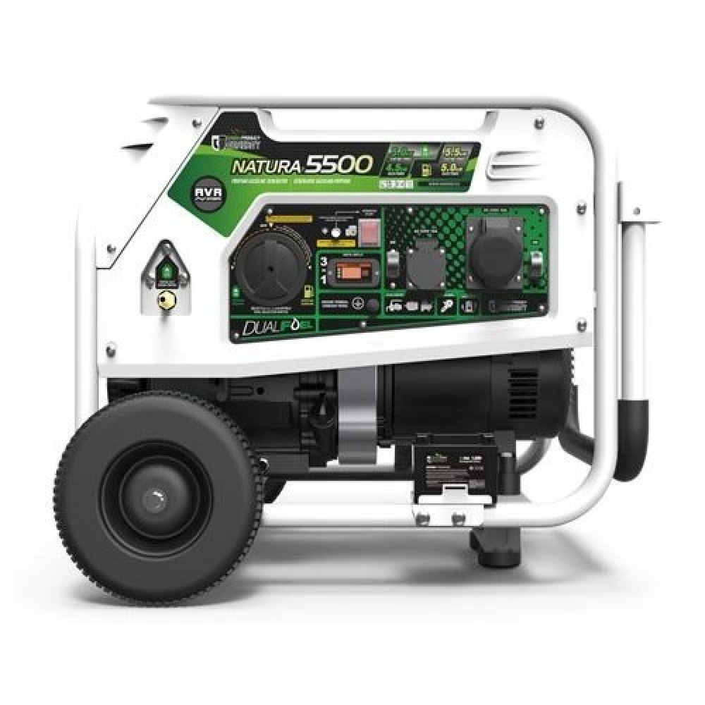 Бензиновый генератор Genergy Natura 5000 (5 кВт)