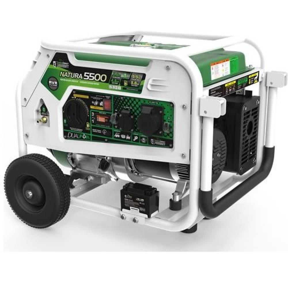 Бензиновый генератор Genergy Natura 5000 (5 кВт)