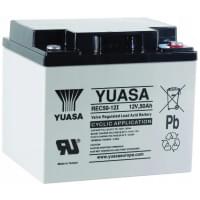 Yuasa REC50-12I AGM (12V 50Ah) Yuasa REC50-12I AGM (12V 50Ah)