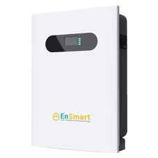 EnSmart ELV-W 5.0 LiFePo4 (48V 100Ah)