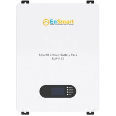 EnSmart ELV-W 5.0 LiFePo4 (48V 100Ah)