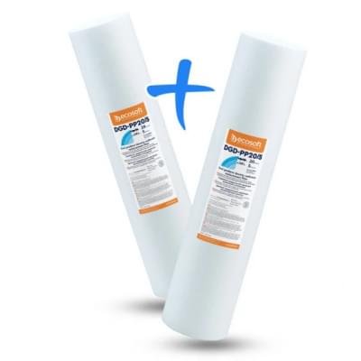 Комплект картриджей Ecosoft 4,5"х 20" 20-5 мкм 2шт. (CPV24520205ECO)