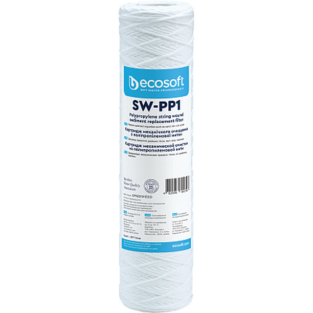 Ecosoft 2,5"x10" 1 мкм (CPN25101ECO)