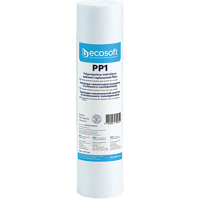 Ecosoft 2,5"x10" 1 мкм (CPV25101ECO)